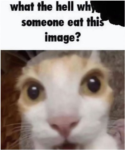 what the hell someone eat mage