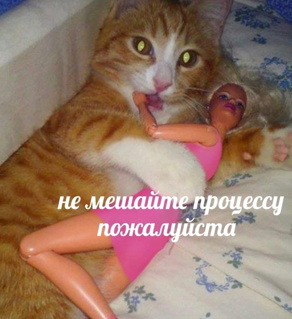 не мешайте процессу поокалуйста