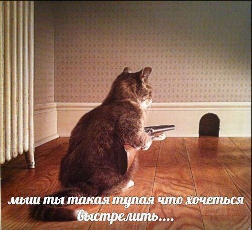 у Mot такая что хочеться быстрелить