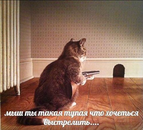 у Mot такая что хочеться быстрелить