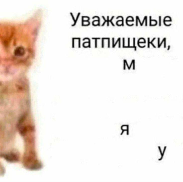 Уважаемые патпищеки,
