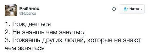 Рыбанос Читать @Rybanos 1. Рождаешься 2. Не знаешь чем заняться 3. Рожаешь других людей, которые не знают чем заняться