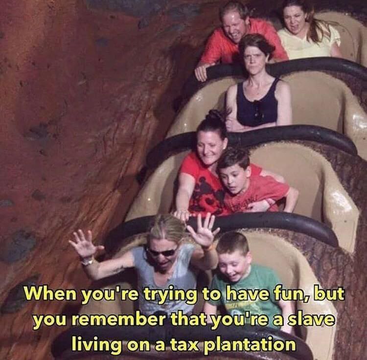 but When you're trying to have fun you remember ive 1 living on a tax plantation