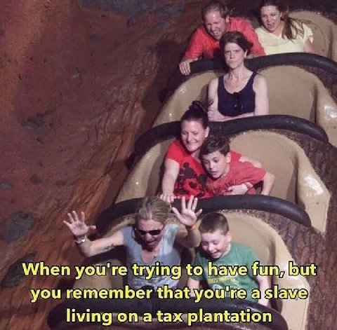 but When you're trying to have fun you remember ive 1 living on a tax plantation