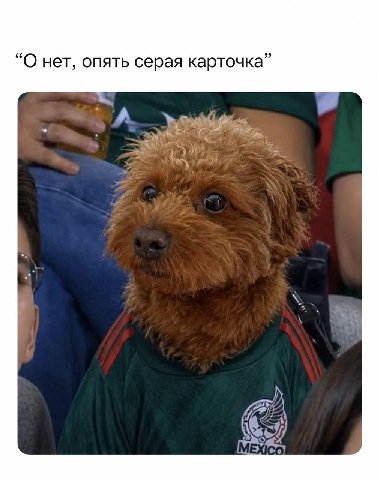 “О нет, опять серая карточка” A 7)