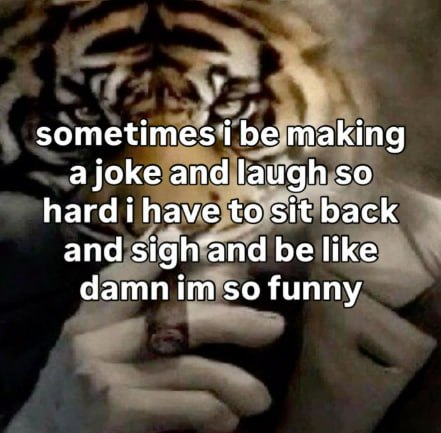 a joke and laugh so hardihave back and be like damnim so funny