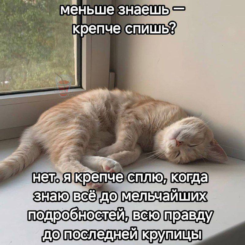 меньше знаешь СПИШЬ? сплю, когда всё. до мельчайших крупицы