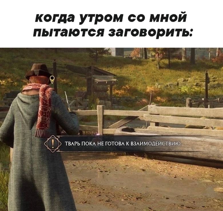 когда утром мной пытаются заговорить: ТВАРЬ ПОКА НЕ ГОТОВА К