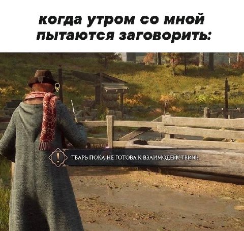 когда утром мной пытаются заговорить: ТВАРЬ ПОКА НЕ ГОТОВА К