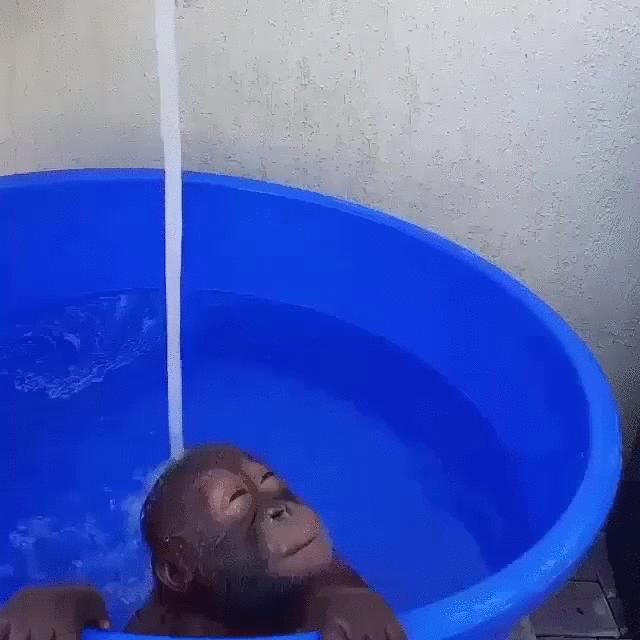 к