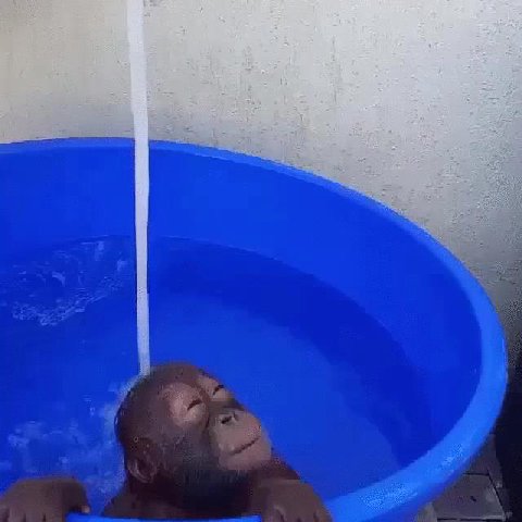 к