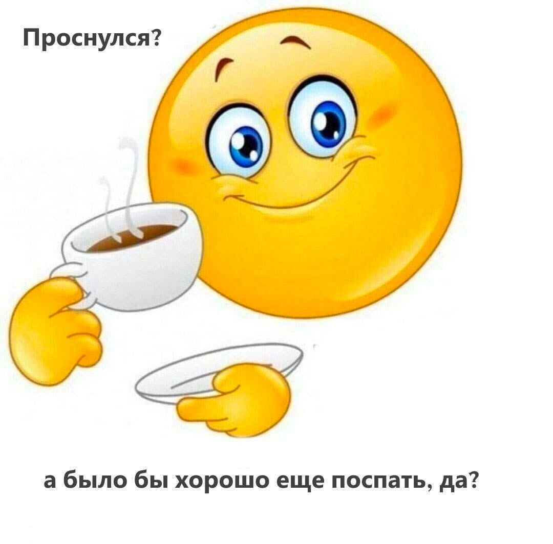 Проснулся? а было бы хорошо еще поспать, да?
