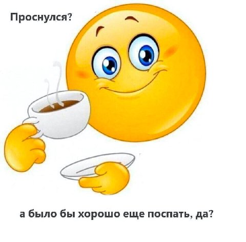 Проснулся? а было бы хорошо еще поспать, да?