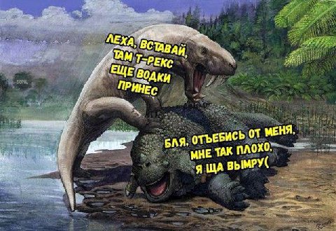 PEKe fio SINE Водки ПРИНЕ С ЕНЯ, ОТЪЕБИСЬ ME МНЕ ТАК Я ВЫМРУ(