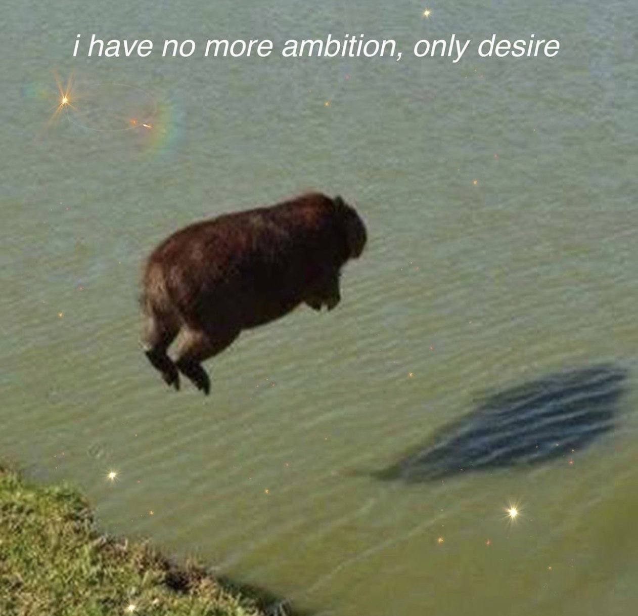 i have по more ambition, only desire