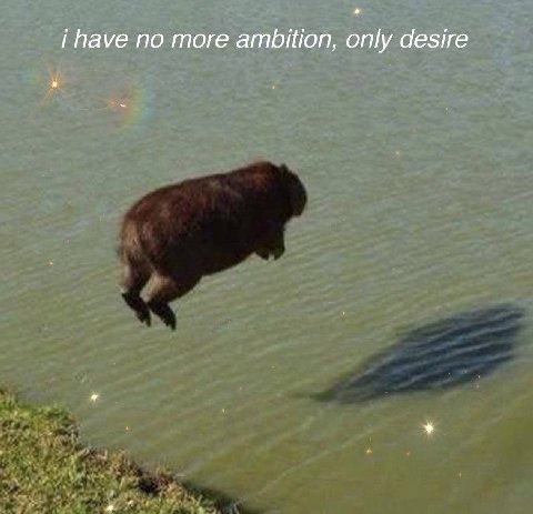i have по more ambition, only desire