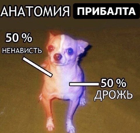 АНАТОМИЯ ПРИБАЛТА 50 НЕНАВИСТЬ 50% ДРОЖЬ