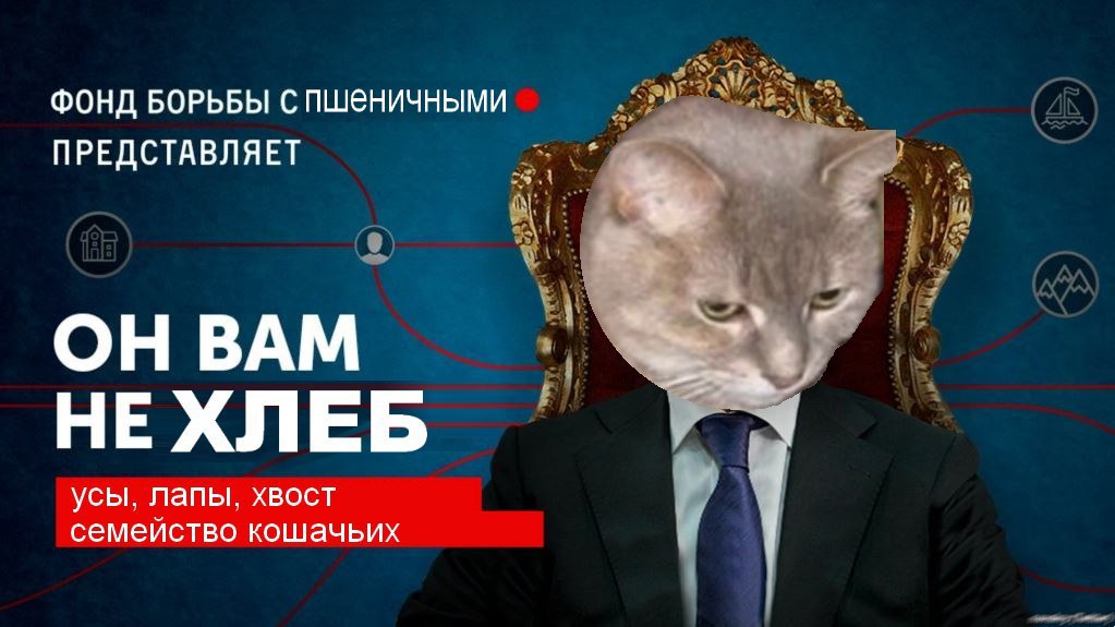 ФОНД БОРЬБЫ С ПШеничными ПРЕДСТАВЛЯЕТ ОН ВАМ НЕ ХЛЕБ усы. лапы, хвост семеиство кошачьих