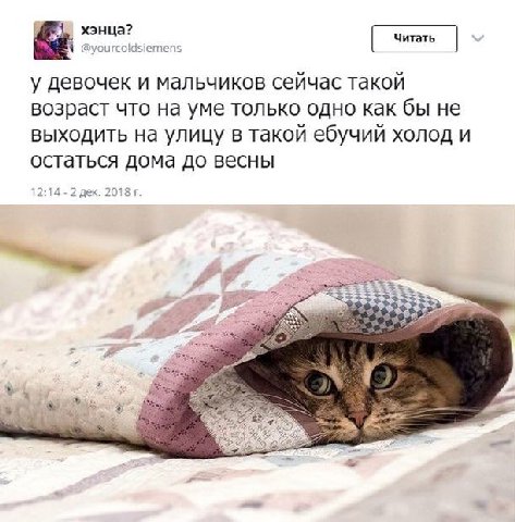 1 @yourcoiasiemens у девочек и мальчиков сейчас такой возраст что на уме только одно как бы не выходить на улицу в такой ебучий Холод и остаться дома до весны a
