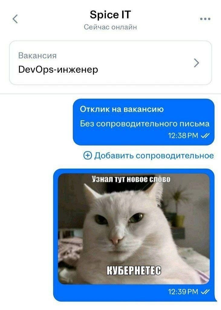 Spice IT Сейчас онлайн Вакансия Отклик на вакансию Без сопроводительного письма Добавить сопроводительное Узнал тут новое слово КУБЕРНЕТЕС