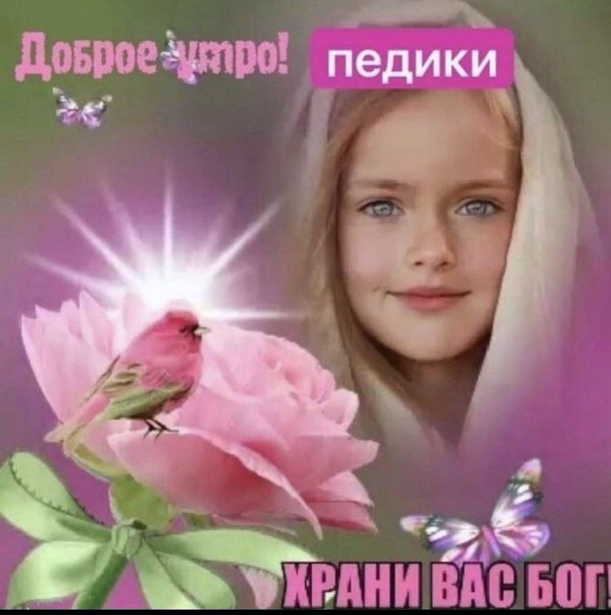 педики