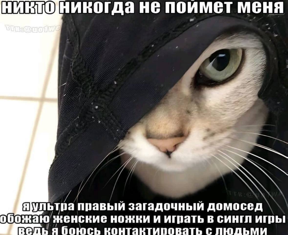 не поимет меня яультра правый загадочный домосед` ножки и играть в сингл игры а боюсь контактиповать с пюльми
