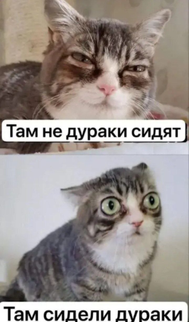 Там не дураки сидят Там сидели дураки