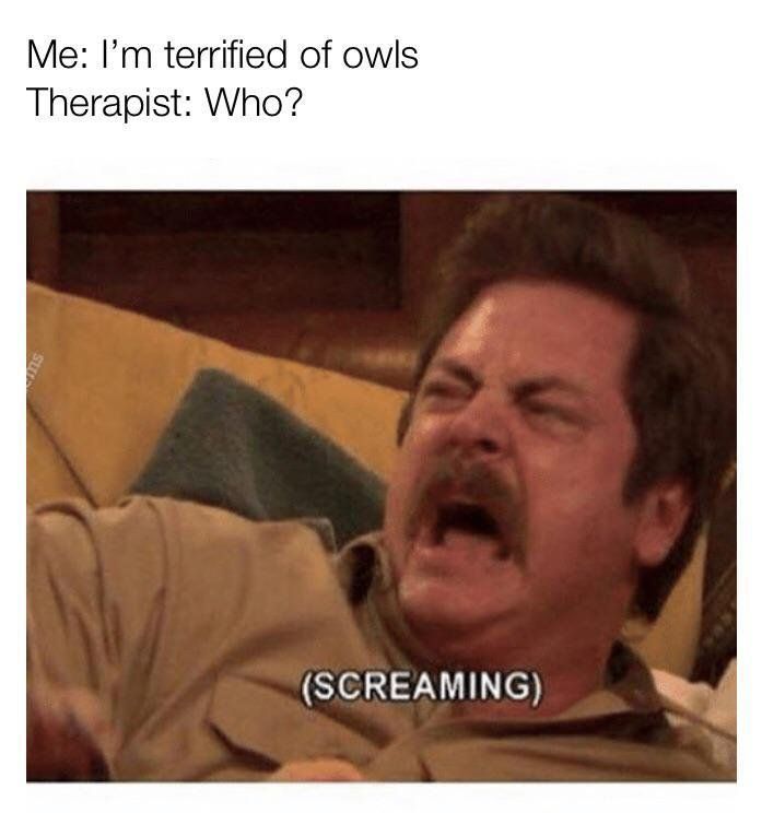 Me: terrified of owls Therapist: Who? (SCREAMING)