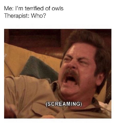 Me: terrified of owls Therapist: Who? (SCREAMING)