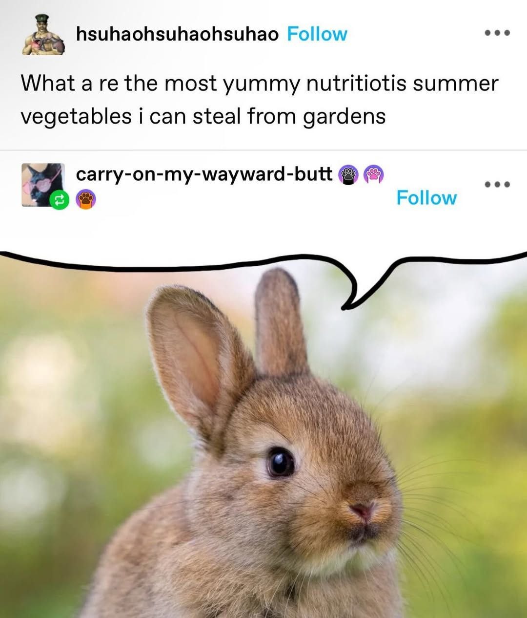 fay hsuhaohsuhaohsuhao Follow What а the most yummy nutritiotis summer vegetables i can steal from gardens carry-on-my-wayward-butt Follow а