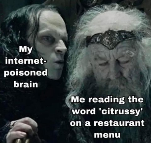 On My internet- poisoned brain Me reading the word 'citrussy' on a restaurant тепи