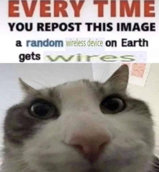 YOU REPOST THIS IMAGE a random Wireless device on Earth gets