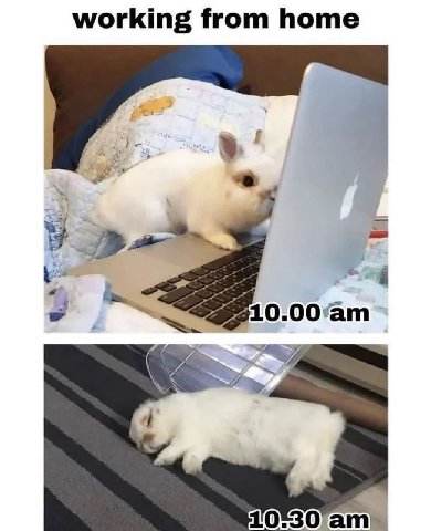 working from home 7% 4