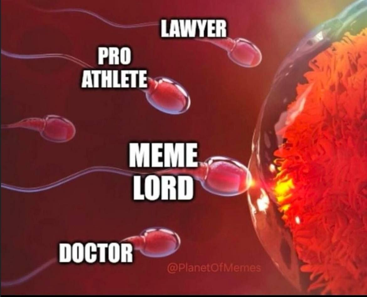 LAWYER PRO ATHLETE MEME LORD