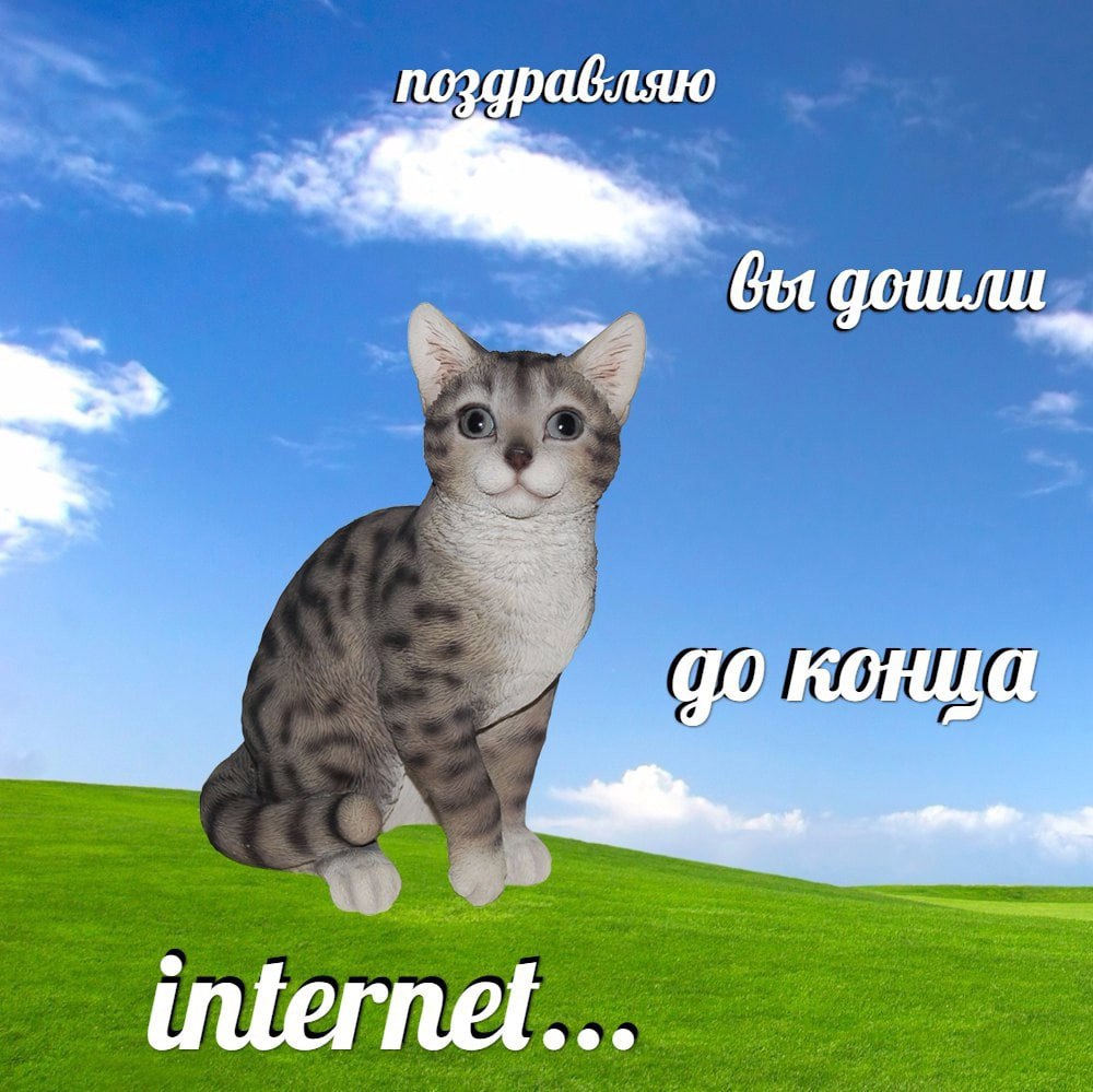 поздравляю вы дошли конца