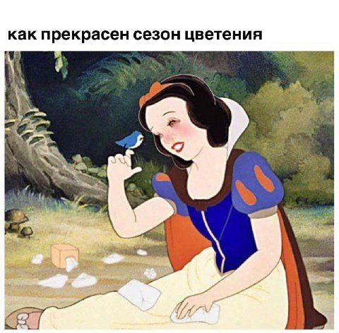 как прекрасен сезон цветения