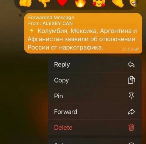 Forwarded Мезъаце From ALEXEY CAN Колумбия, Мексика, Аргентина и Афганистан заявили об отключении России наркотрафика Веру Capy Pin Forward