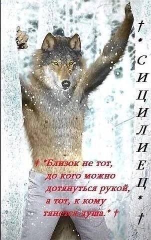 8. И He TOT, До. ого можно ДОТЯНУТЬСЯ