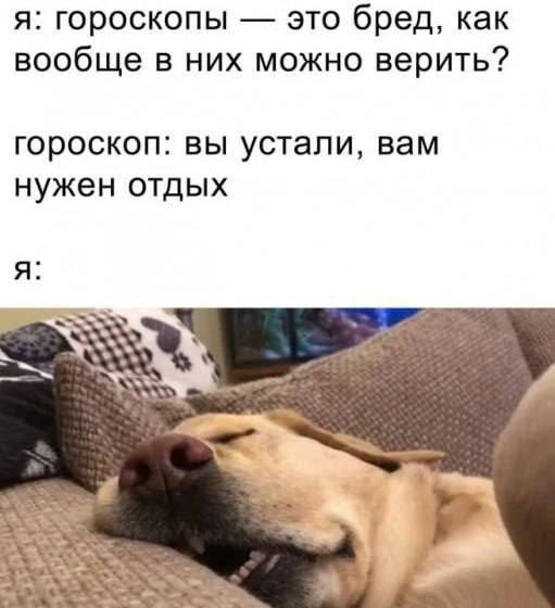 я: гороскопы это бред, как вообще в них можно верить? гороскоп: вы устали, вам нужен отдых я: