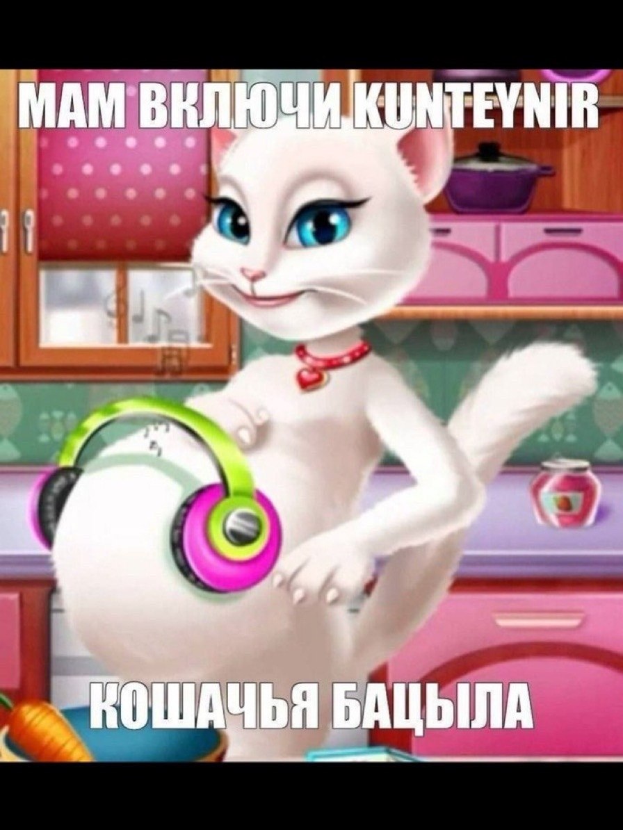 МАМ В FEYNIR 48: АЦЫЛА