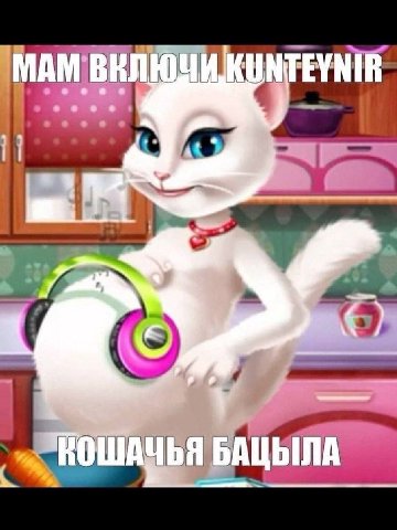 МАМ В FEYNIR 48: АЦЫЛА