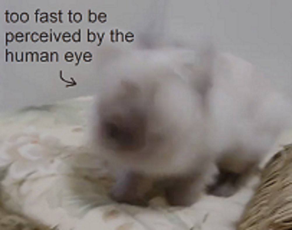 too fast to be perceived the human eye