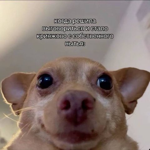 когда решила выговориться и стало кринжово с собственного НЫТЬЯ: