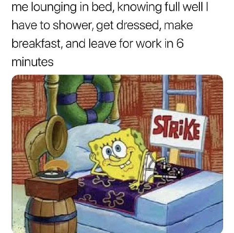 me lounging in bed, knowing full well have to shower, get dressed, make breakfast, and leave for work in 6 minutes