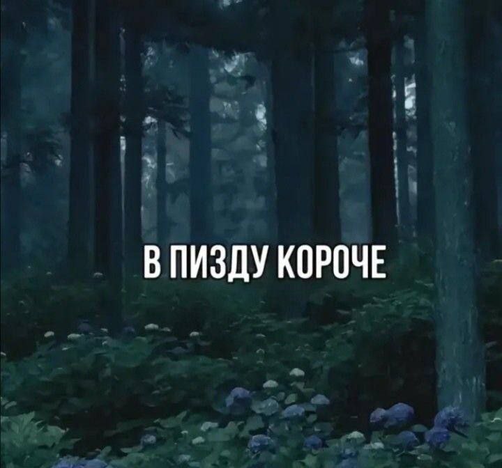 ПИЗДУ КОРОЧЕ