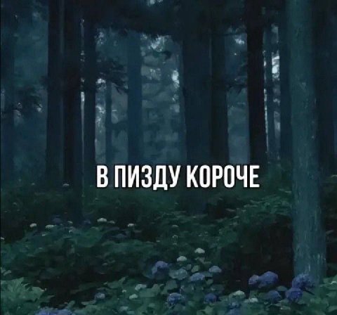 ПИЗДУ КОРОЧЕ