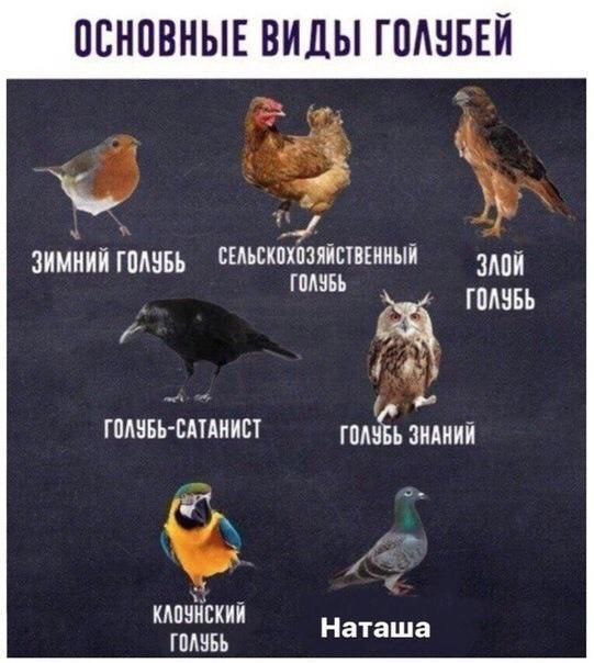 Клск