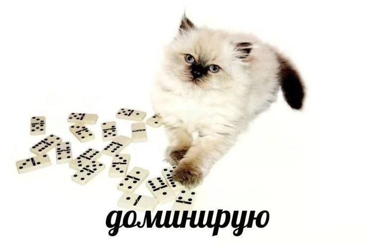 a 2 at. доминирую