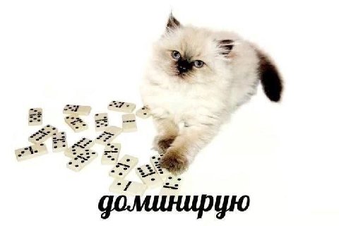 a 2 at. доминирую