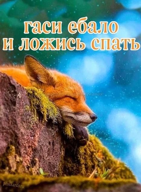 гаси ебало я 3 a 4 4
